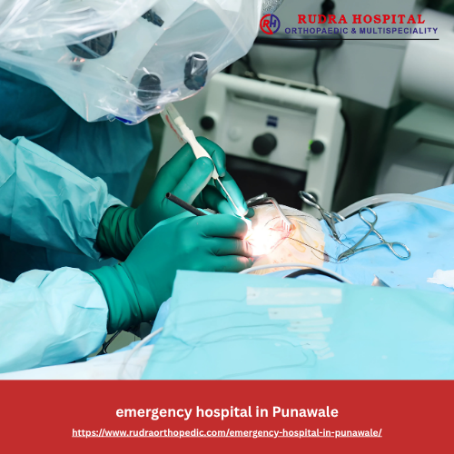 Emergency hospital in punawale